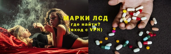 сатива Навашино