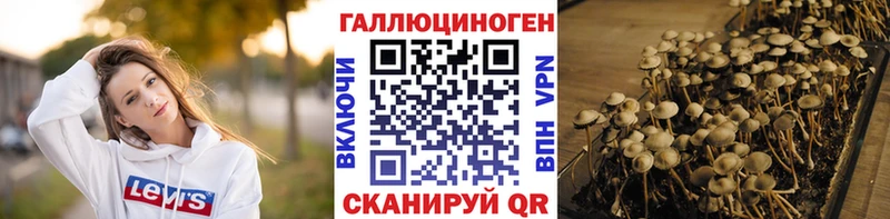 где купить   ссылка на мегу ССЫЛКА  Галлюциногенные грибы прущие грибы  Электроугли 